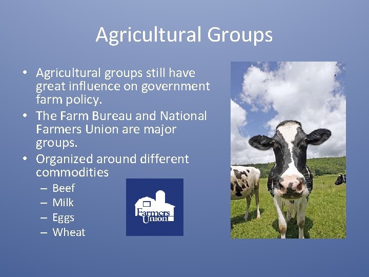 Agricultural Groups • Agricultural groups still have great influence on government farm policy. •