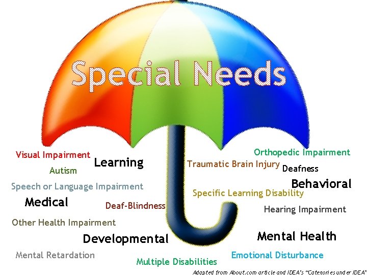 Learning Orthopedic Impairment Traumatic Brain Injury Deafness Speech or Language Impairment Behavioral Visual Impairment