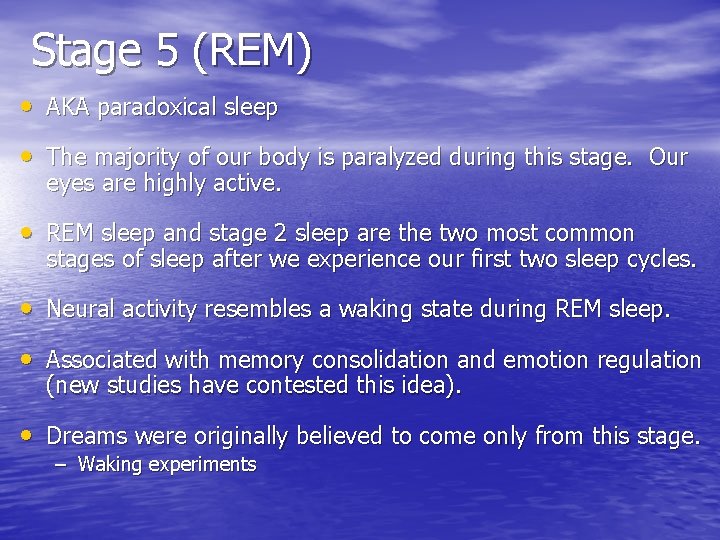 Stage 5 (REM) • AKA paradoxical sleep • The majority of our body is