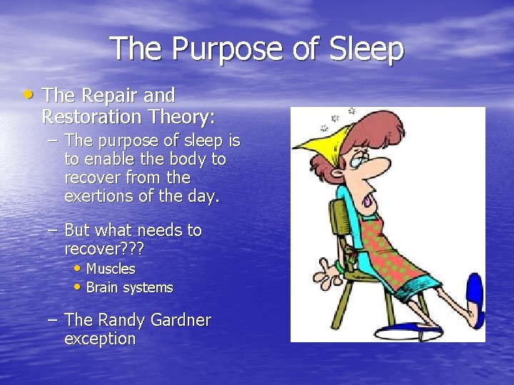 The Purpose of Sleep • The Repair and Restoration Theory: – The purpose of