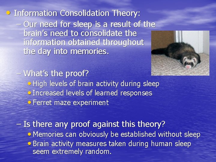  • Information Consolidation Theory: – Our need for sleep is a result of