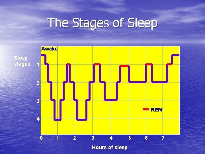 The Stages of Sleep Awake Sleep stages 1 2 3 REM 4 0 1
