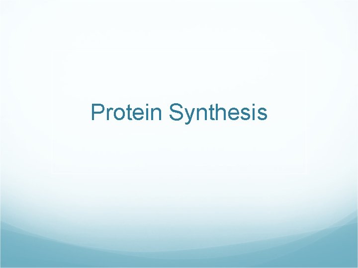 Protein Synthesis 