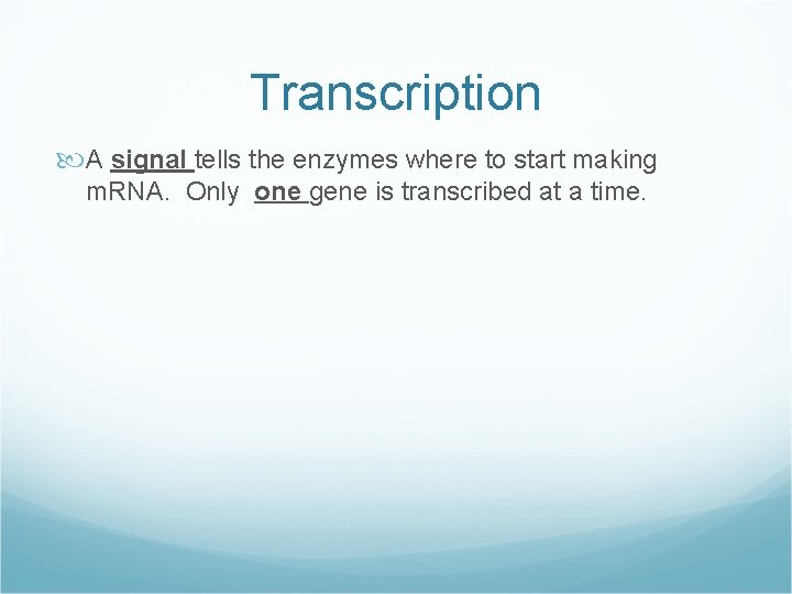 Transcription A signal tells the enzymes where to start making m. RNA. Only one