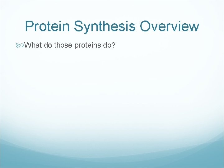 Protein Synthesis Overview What do those proteins do? 