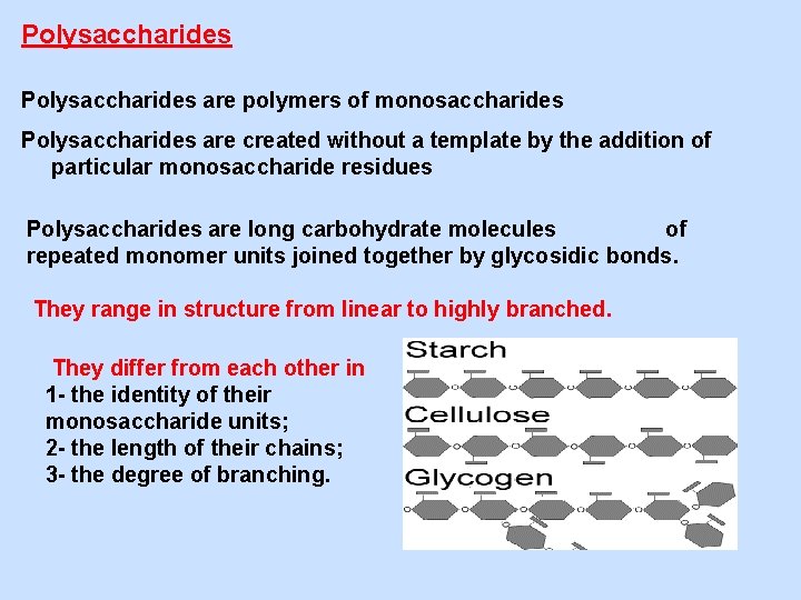 Polysaccharides are polymers of monosaccharides Polysaccharides are created without a template by the addition