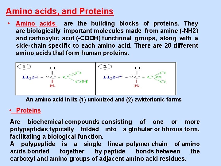 Amino acids, and Proteins • Amino acids are the building blocks of proteins. They