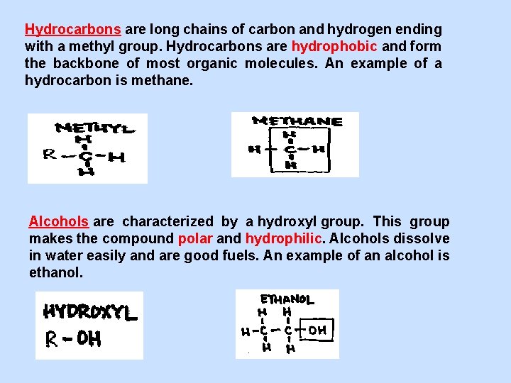Hydrocarbons are long chains of carbon and hydrogen ending with a methyl group. Hydrocarbons