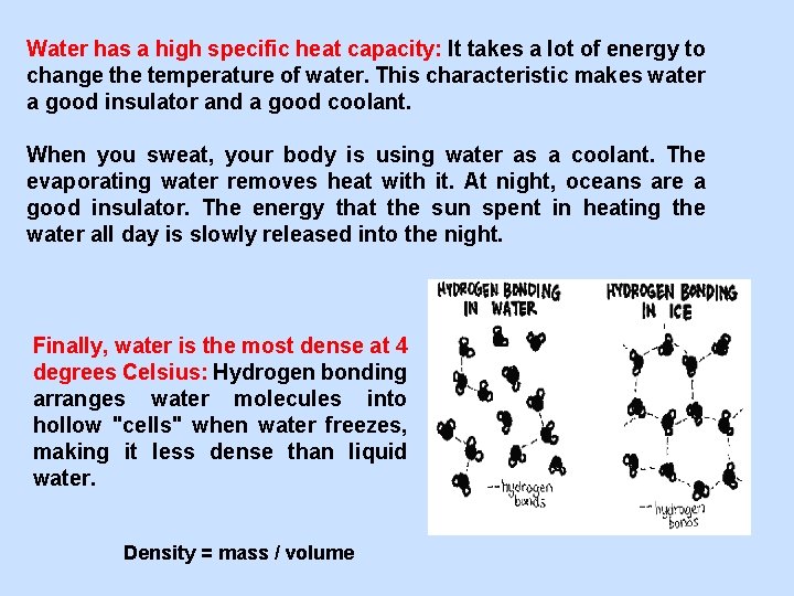Water has a high specific heat capacity: It takes a lot of energy to