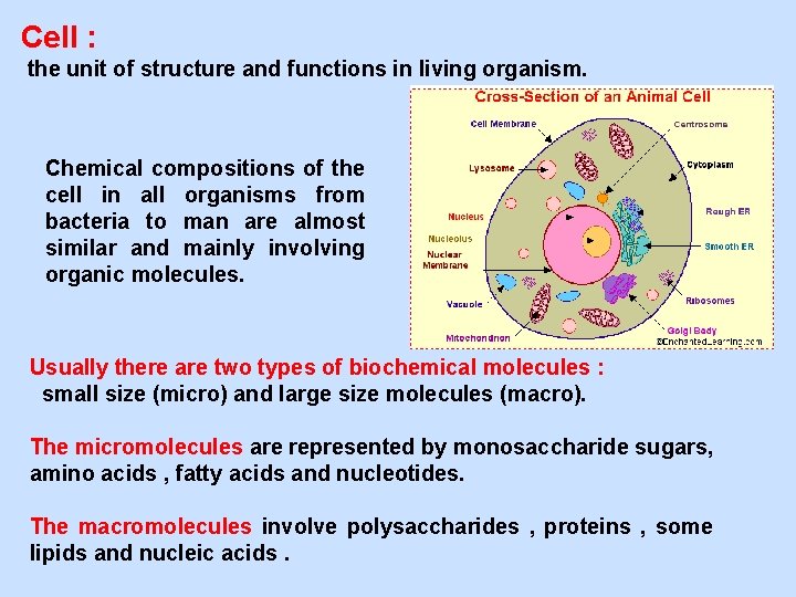 Cell : the unit of structure and functions in living organism. Chemical compositions of