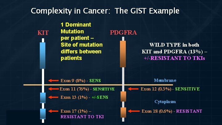 Complexity in Cancer: The GIST Example KIT 1 Dominant Mutation per patient – Site