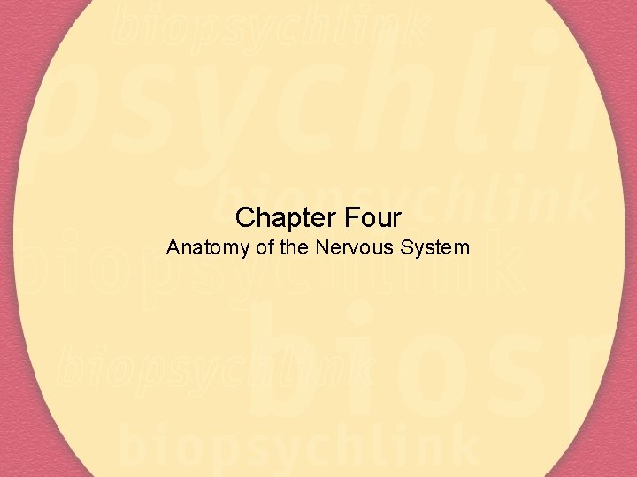 Chapter Four Anatomy of the Nervous System 