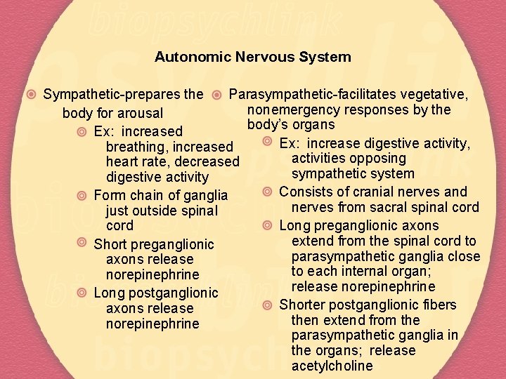 Autonomic Nervous System Sympathetic-prepares the Parasympathetic-facilitates vegetative, nonemergency responses by the body for arousal