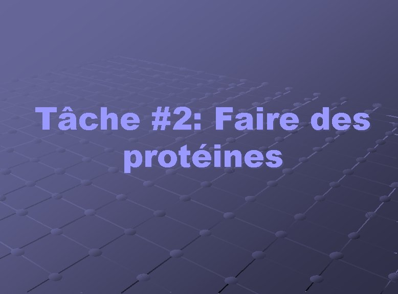 Tâche #2: Faire des protéines Tâche #2: Faire des protéines