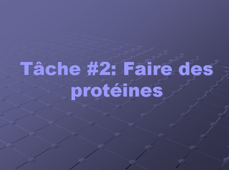 Tâche #2: Faire des protéines 