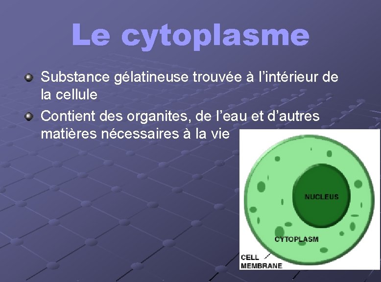 Le cytoplasme Substance gélatineuse trouvée à l’intérieur de la cellule Contient des organites, de Le cytoplasme Substance gélatineuse trouvée à l’intérieur de la cellule Contient des organites, de
