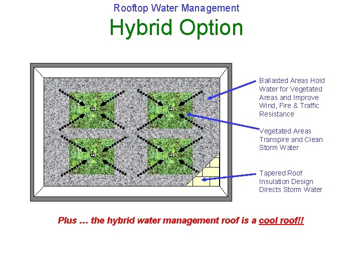 Rooftop Water Management Hybrid Option Ballasted Areas Hold Water for Vegetated Areas and Improve