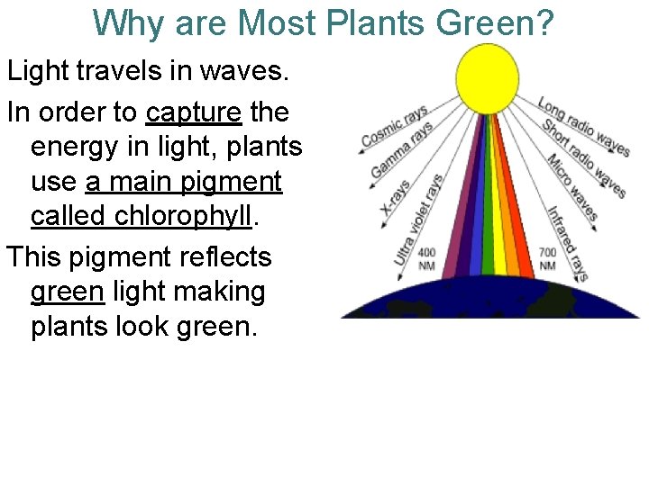 Why are Most Plants Green? Light travels in waves. In order to capture the