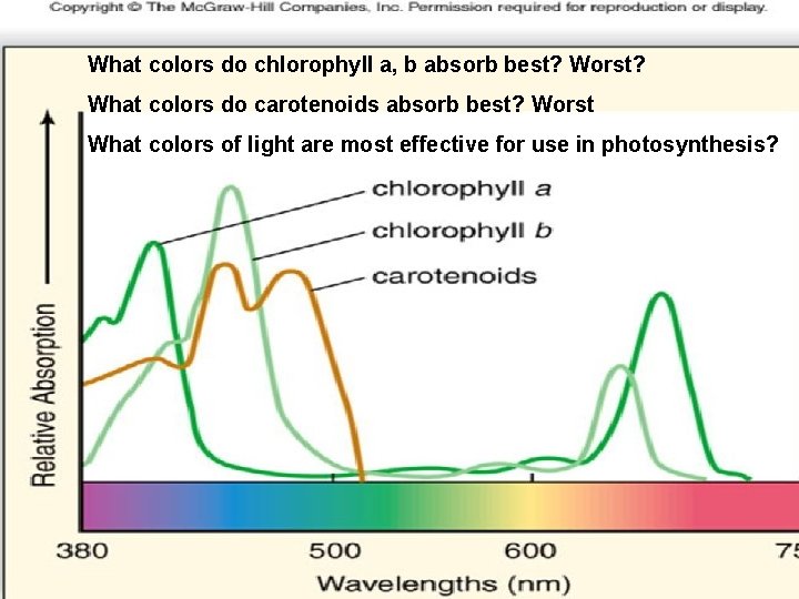 What colors do chlorophyll a, b absorb best? Worst? What colors do carotenoids absorb