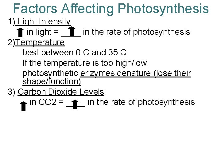 Factors Affecting Photosynthesis 1) Light Intensity in light = ____ in the rate of