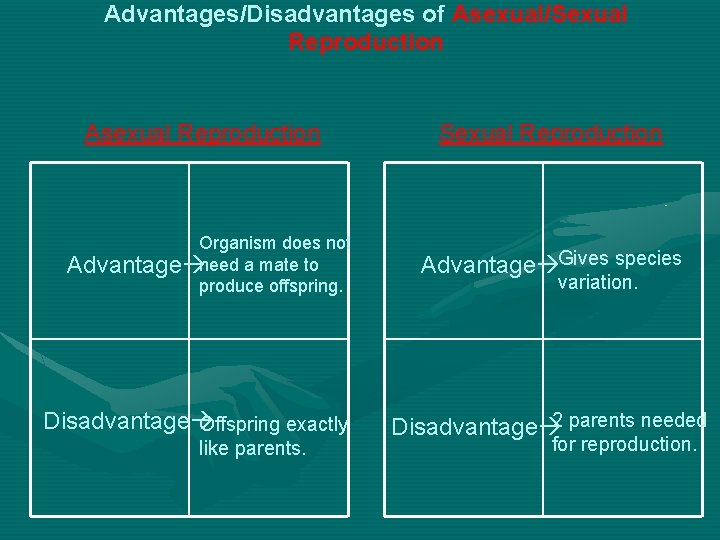 Advantages/Disadvantages of Asexual/Sexual Reproduction Asexual Reproduction Organism does not Advantage need a mate to Advantages/Disadvantages of Asexual/Sexual Reproduction Asexual Reproduction Organism does not Advantage need a mate to