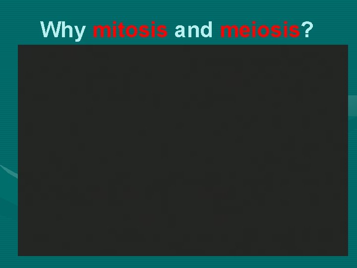 Why mitosis and meiosis? Why mitosis and meiosis?