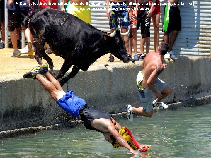 A Denia, les traditionnelles fêtes de Santisima incluent le «Bous a la mar» (taureau