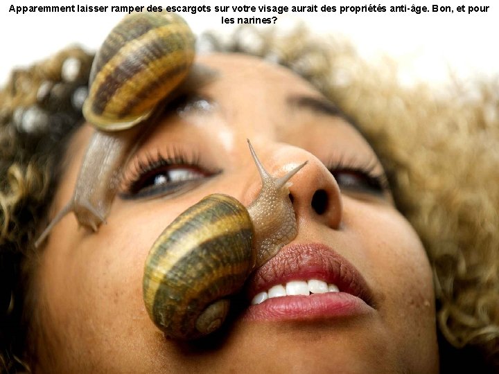 Apparemment laisser ramper des escargots sur votre visage aurait des propriétés anti-âge. Bon, et