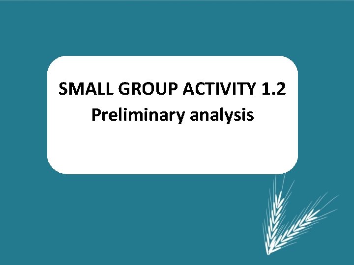 SMALL GROUP ACTIVITY 1. 2 Preliminary analysis 