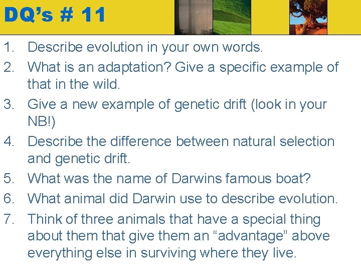 DQ’s # 11 1. Describe evolution in your own words. 2. What is an