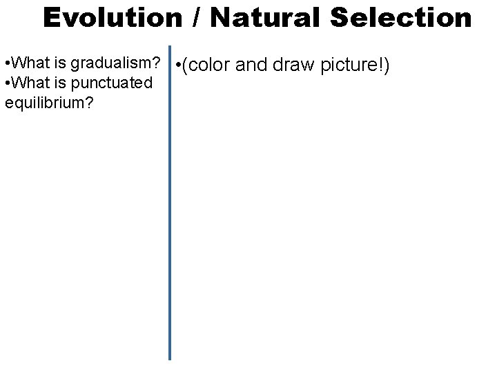 Evolution / Natural Selection • What is gradualism? • (color and draw picture!) •