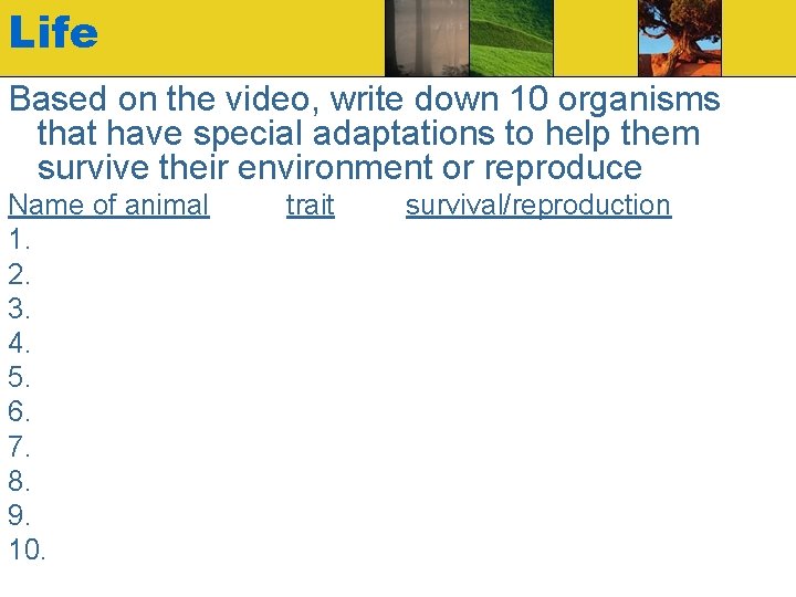 Life Based on the video, write down 10 organisms that have special adaptations to