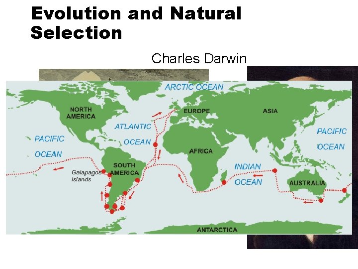 Evolution and Natural Selection Charles Darwin 