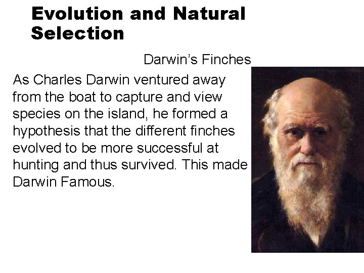 Evolution and Natural Selection Darwin’s Finches As Charles Darwin ventured away from the boat