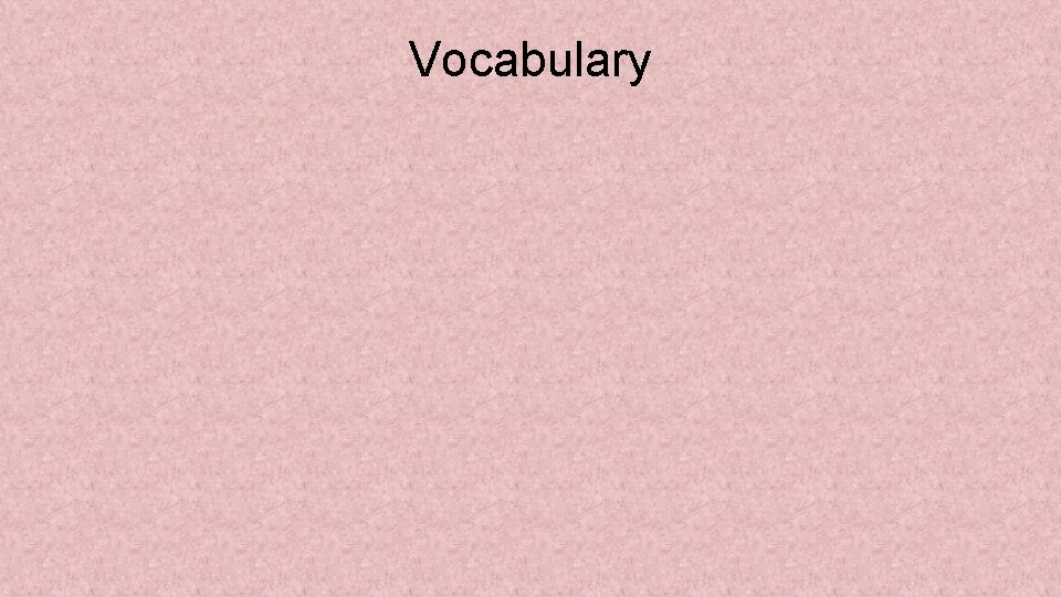 Vocabulary 