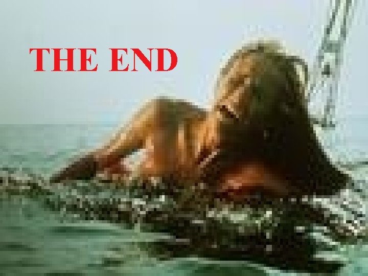 THE END 