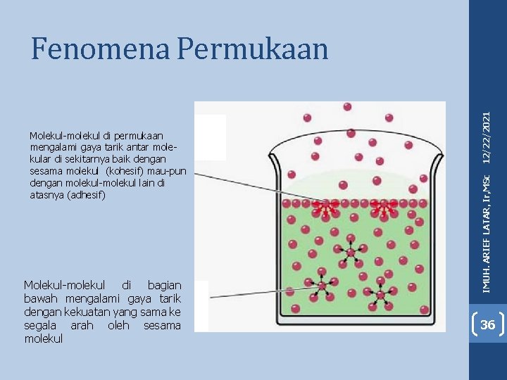 Molekul-molekul di bagian bawah mengalami gaya tarik dengan kekuatan yang sama ke segala arah