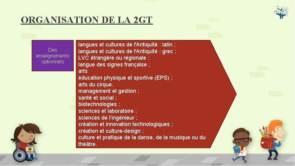 ORGANISATION DE LA 2 GT Des enseignements optionnels langues et cultures de l'Antiquité :