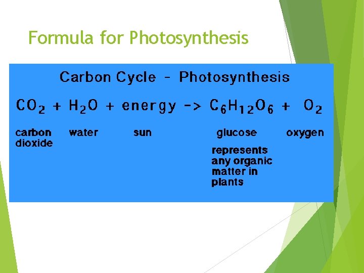 Formula for Photosynthesis 