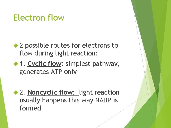 Electron flow 2 possible routes for electrons to flow during light reaction: 1. Cyclic