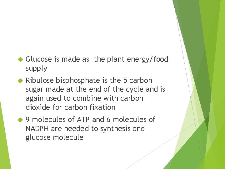  Glucose is made as the plant energy/food supply Ribulose bisphosphate is the 5