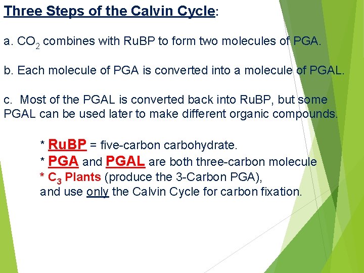 Three Steps of the Calvin Cycle: a. CO 2 combines with Ru. BP to