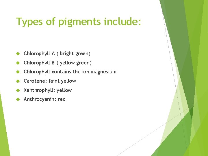 Types of pigments include: Chlorophyll A ( bright green) Chlorophyll B ( yellow green)