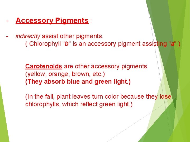 * - Accessory Pigments : - indirectly assist other pigments. ( Chlorophyll “b” is