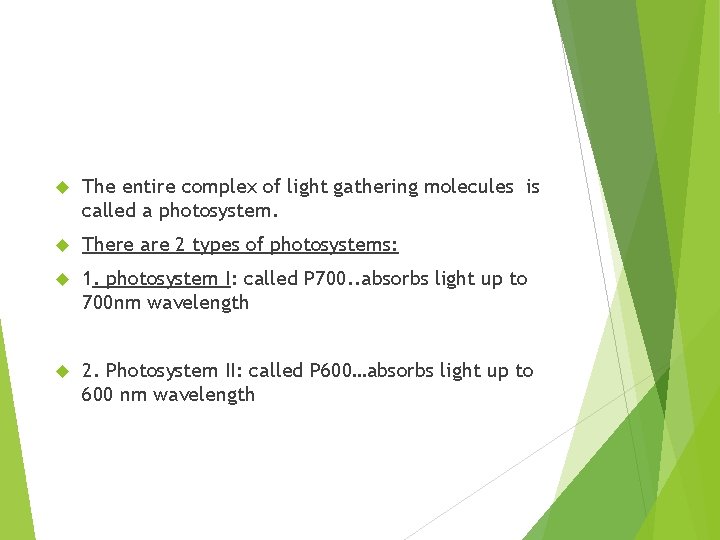  The entire complex of light gathering molecules is called a photosystem. There are