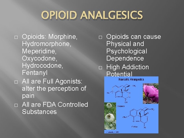 OPIOID ANALGESICS � � � Opioids: Morphine, Hydromorphone, Meperidine, Oxycodone, Hydrocodone, Fentanyl All are