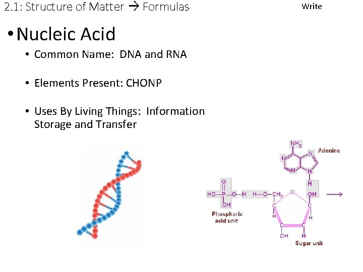 2. 1: Structure of Matter Formulas • Nucleic Acid • Common Name: DNA and