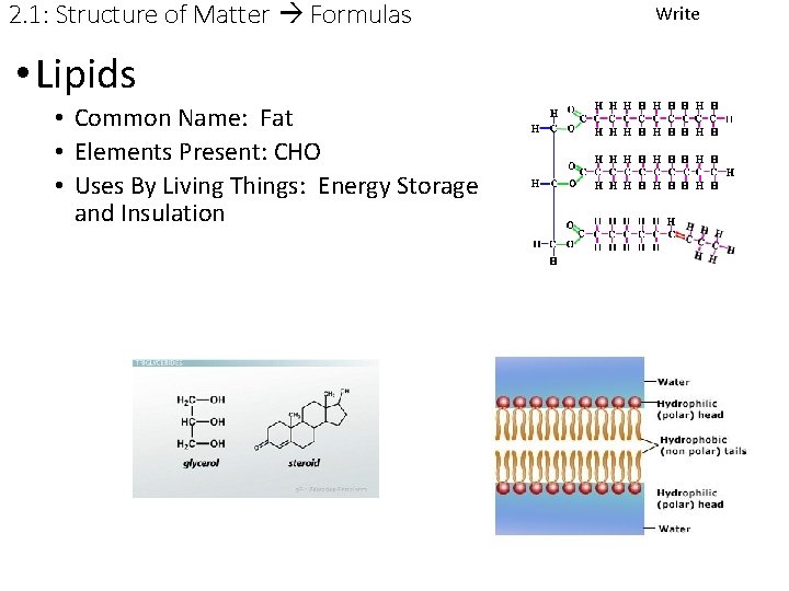 2. 1: Structure of Matter Formulas • Lipids • Common Name: Fat • Elements