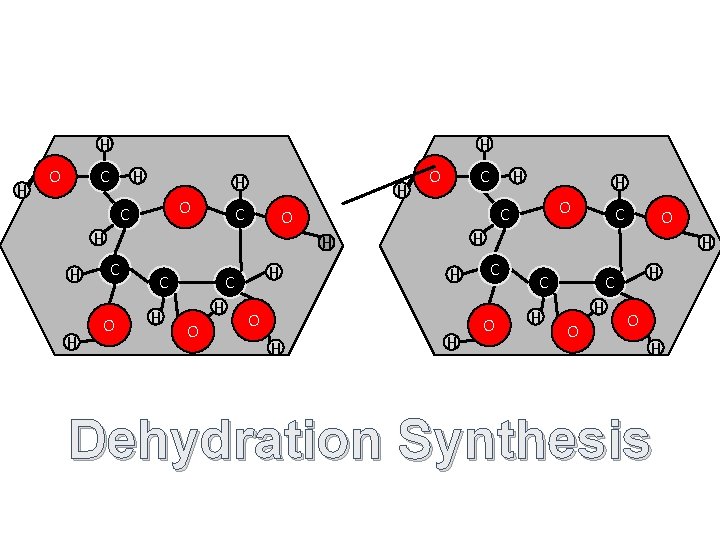 H H C O H O C H H C H O O H