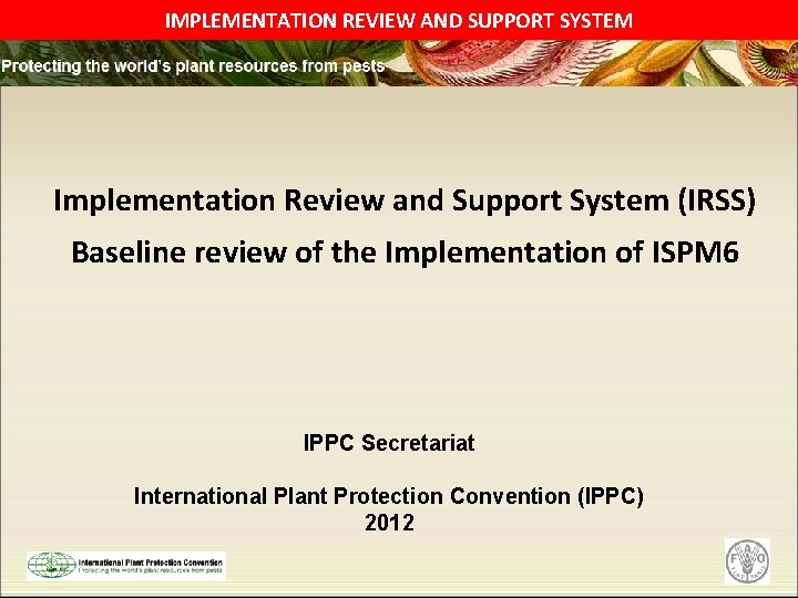 IMPLEMENTATION REVIEW AND SUPPORT SYSTEM Implementation Review and Support System (IRSS) Baseline review of